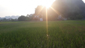 Center Tam Coc Homestay